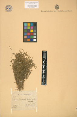 LE 01002471
