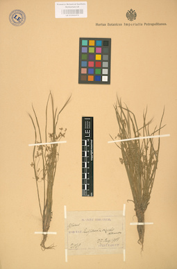 LE 01002472
