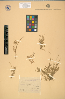 LE 01002473