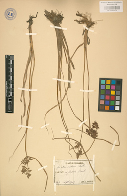 LE 01002474