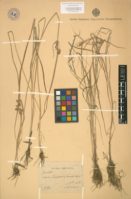 LE 01002475