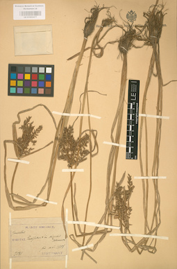 LE 01002477