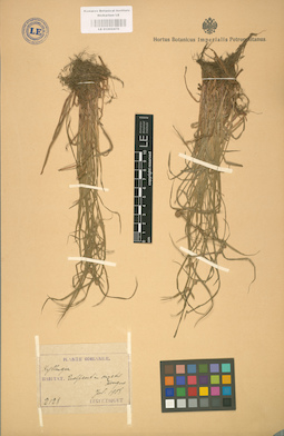 LE 01002478