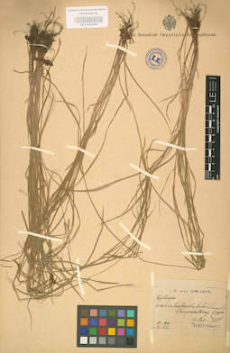 LE 01002480