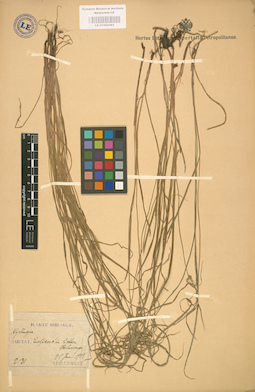 LE 01002482