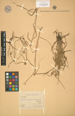 LE 01002483