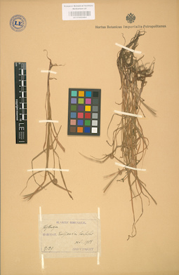 LE 01002484