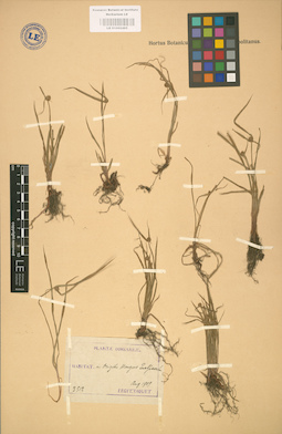 LE 01002485