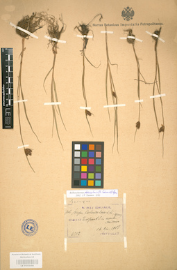 LE 01002488