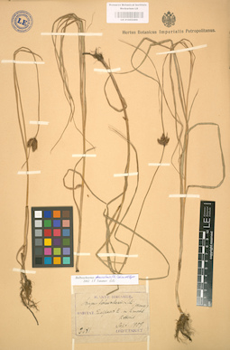 LE 01002489