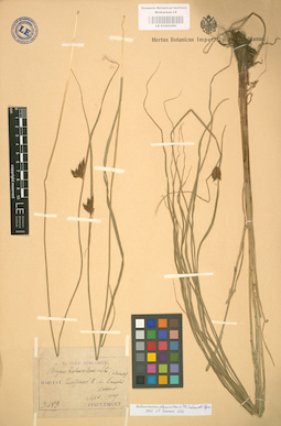 LE 01002490