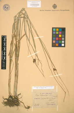 LE 01002491