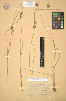 LE 01002492