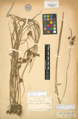 LE 01002493