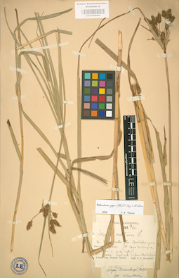 LE 01002494