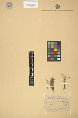 LE 01002566