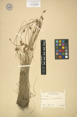 LE 01002567