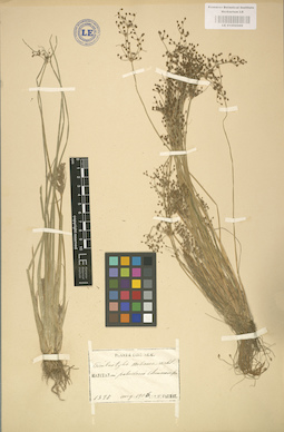 LE 01002569