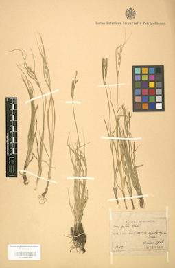 LE 01002570