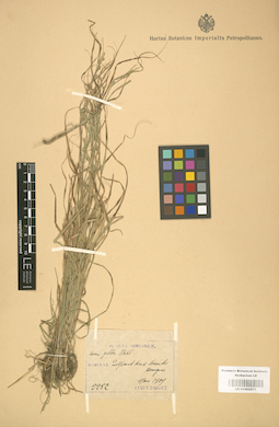 LE 01002571