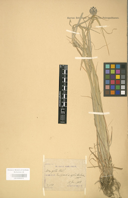 LE 01002572