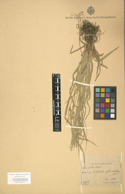 LE 01002574