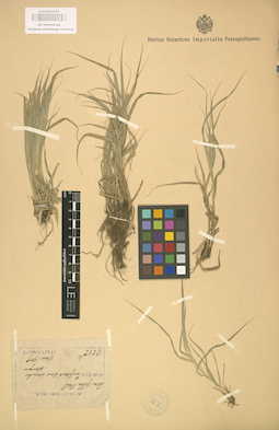 LE 01002575