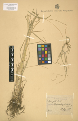 LE 01002576