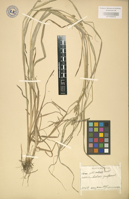 LE 01002579
