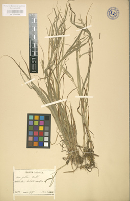 LE 01002580