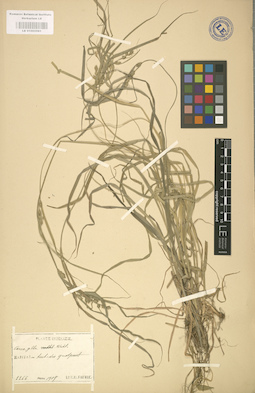 LE 01002581