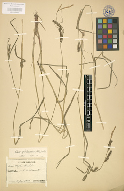 LE 01002583