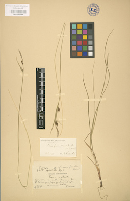 LE 01002584