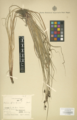 LE 01002585