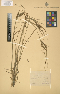LE 01002590