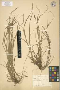 LE 01002591