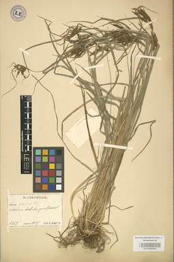 LE 01002592