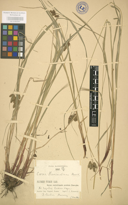 LE 01002593
