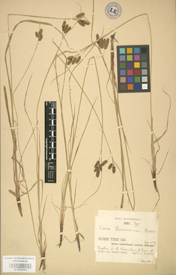 LE 01002594