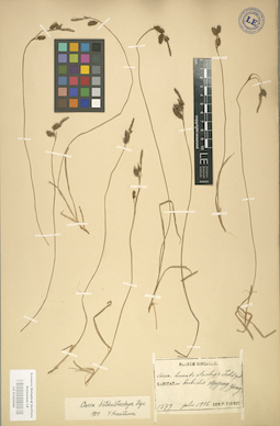LE 01002596