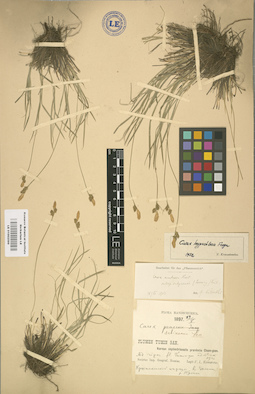 LE 01002599