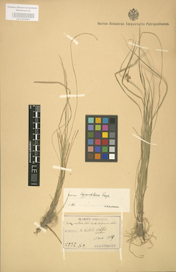 LE 01002601