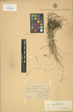 LE 01002602