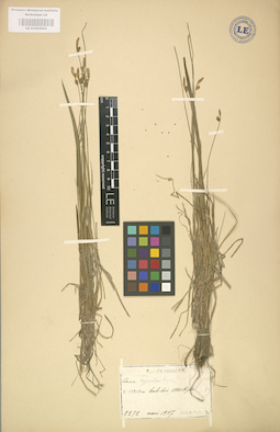 LE 01002604