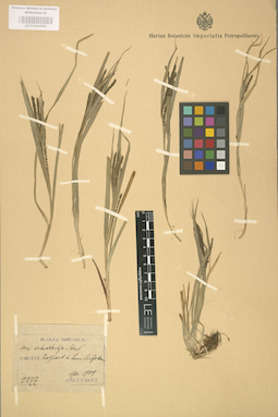 LE 01002606