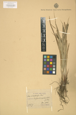 LE 01002607