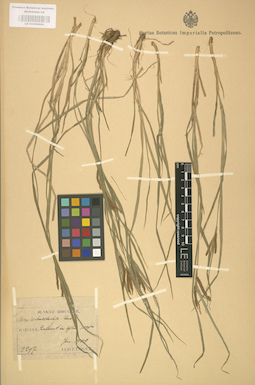 LE 01002608