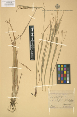 LE 01002609