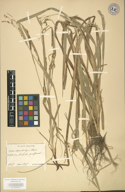 LE 01002610