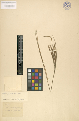 LE 01002611